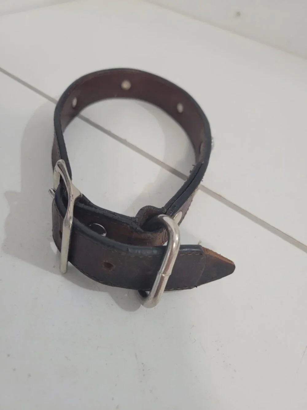 Leather Dog Collar for Medium Dog